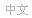 中文